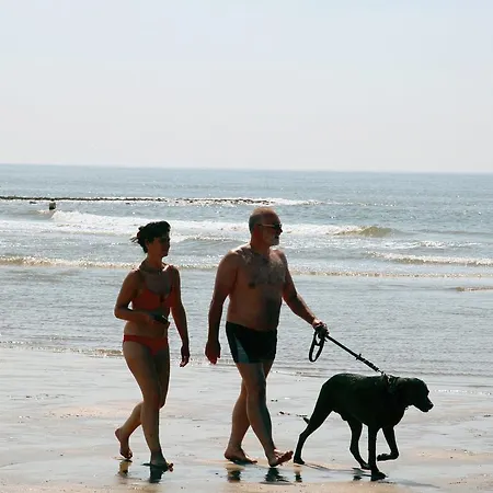 Roompot Duynzicht 3*